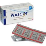 wascot carton