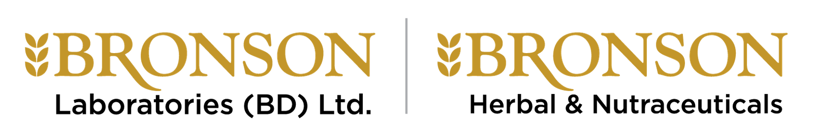 bronsonbd.com